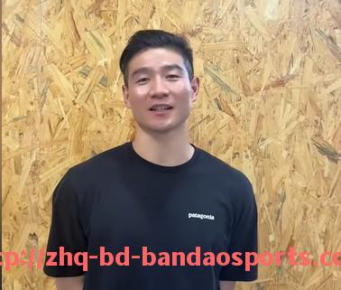 半岛体育-法甲2025年赛季完整赛程：完整揭晓2025年法甲赛季的所有赛事安排