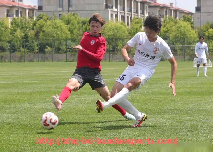 半岛体育-历年来成功进入德甲联赛的球队完整列表