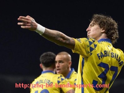 半岛体育-德甲球队宣传片及球队文化推广案例