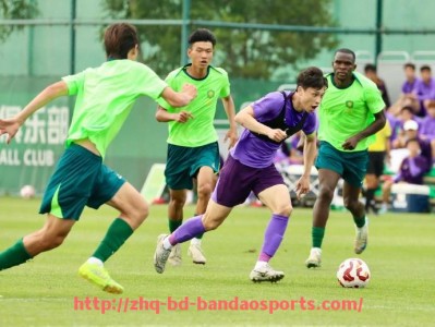 半岛体育-首批进入德甲联赛的创始球队名单与历史地位