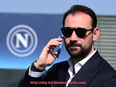 半岛体育-德甲足球队医团队介绍及体育健康管理分析