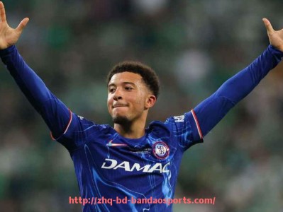 半岛体育-德甲球队的升级规则与其影响力分析